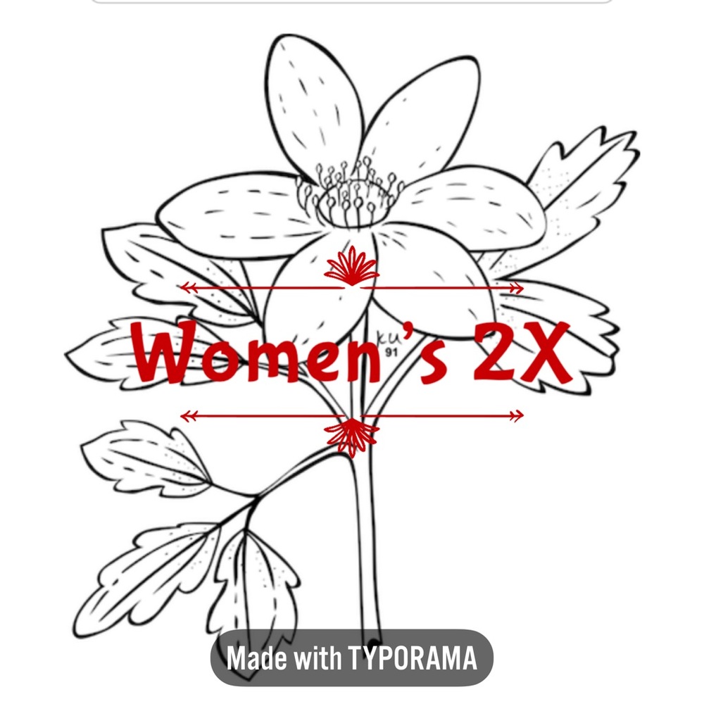 Women’s Clothing Size 2X